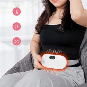 Electronic Massage and Heating Pillow